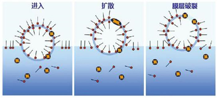 (圖:南輝消泡劑消泡原理)