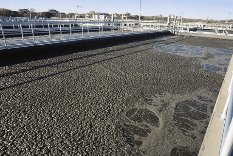 (微生物水處理消泡劑應用場景)